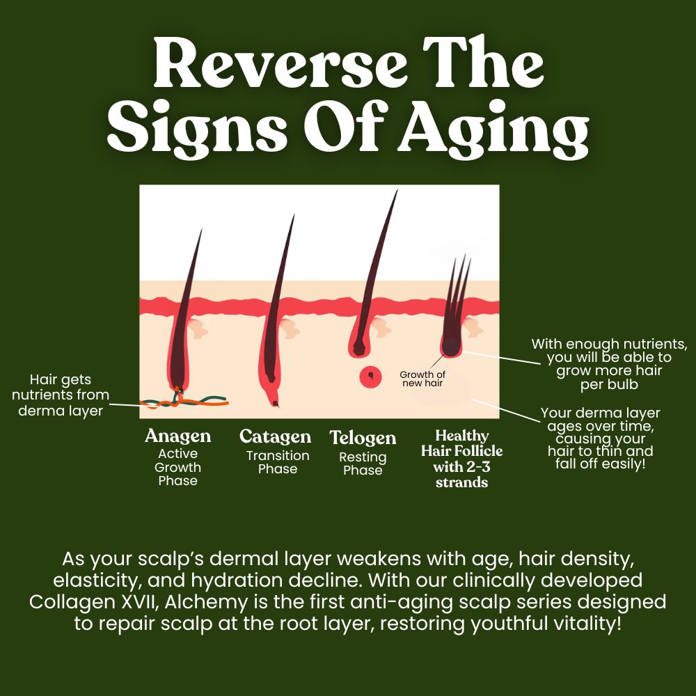 Alchemy Age-Defying Shampoo