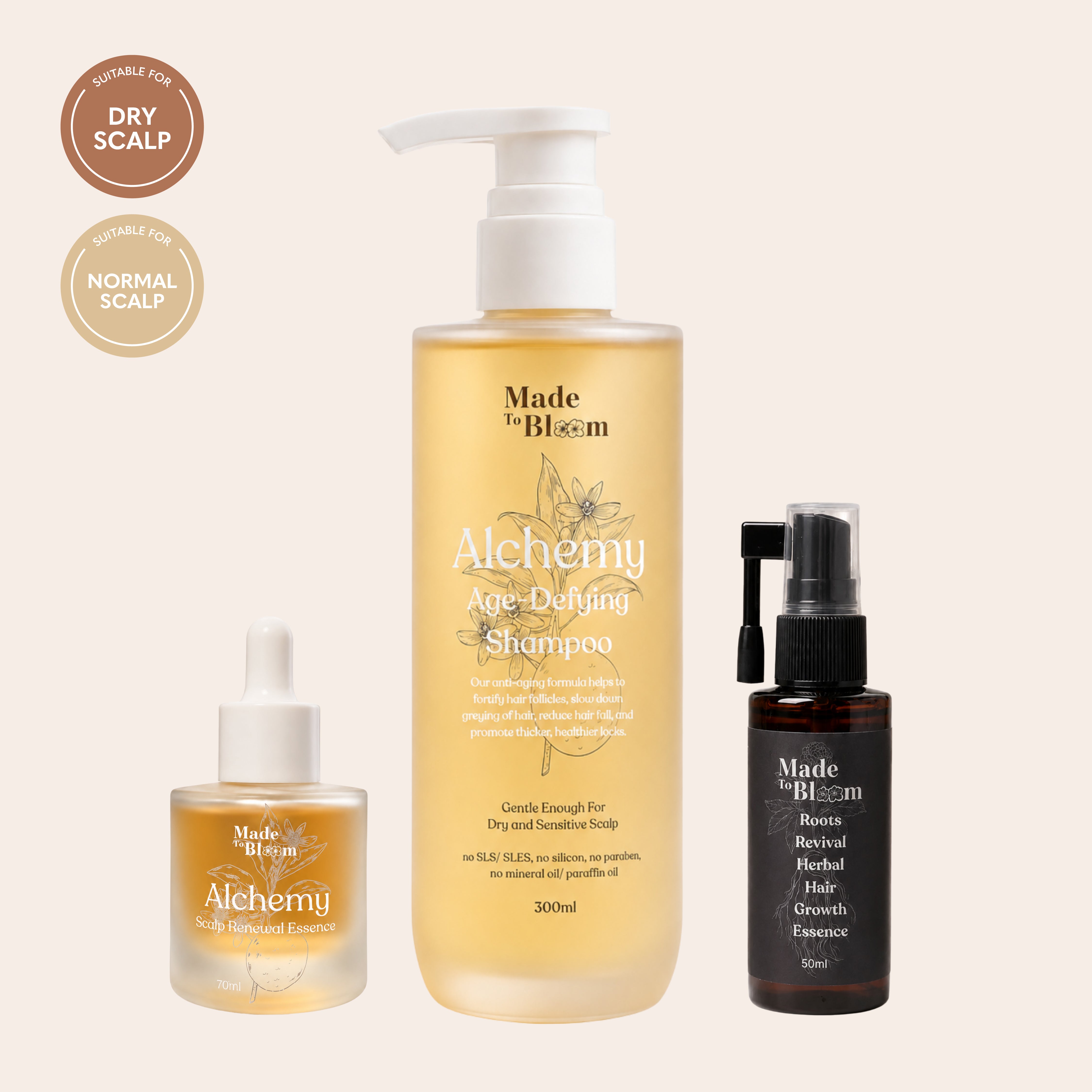Men's Dry Scalp Trio
