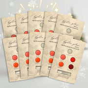 10x Lip Salve Sample Kits