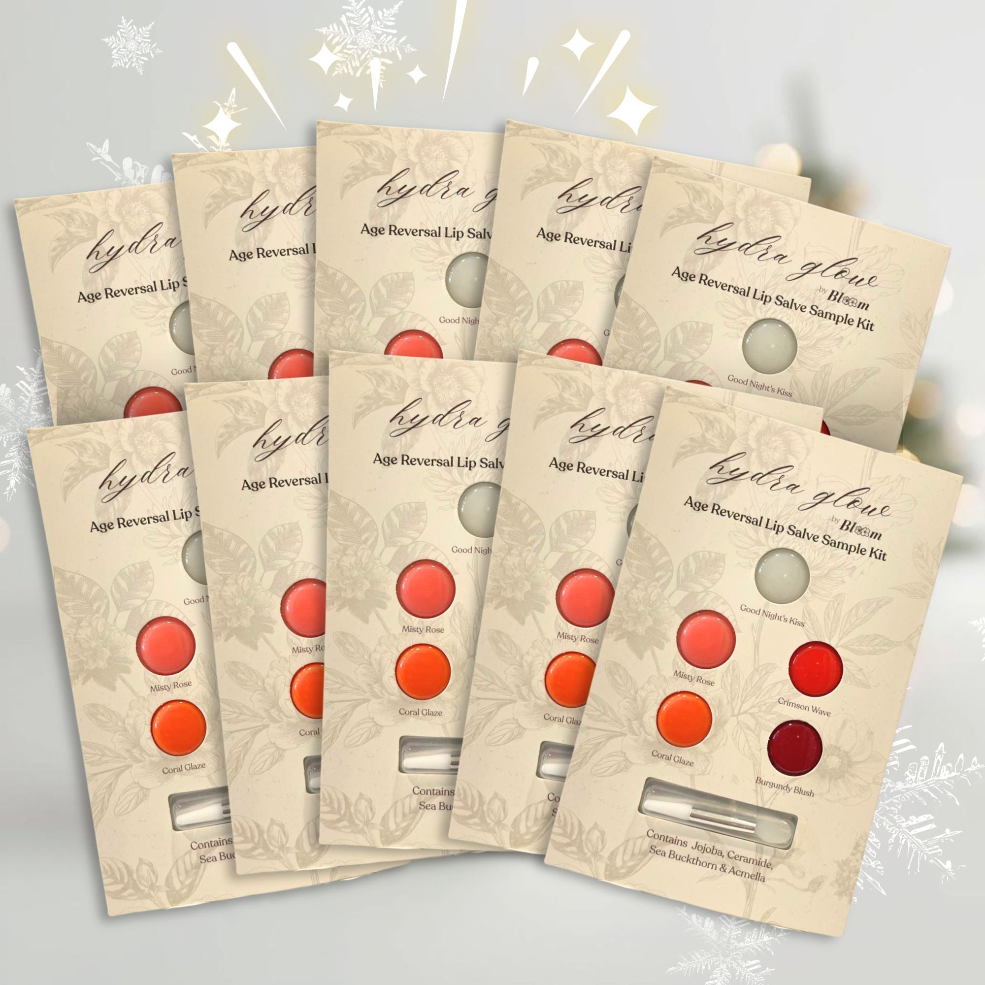 10x Lip Salve Sample Kits