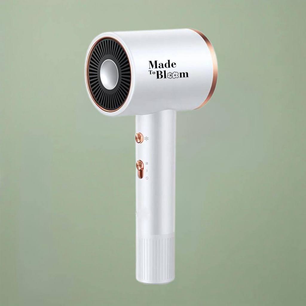 High-Speed Negative Ion Premium Hair Dryer