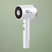 High-Speed Negative Ion Premium Hair Dryer